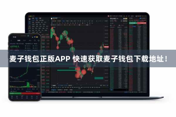 麦子钱包正版APP 快速获取麦子钱包下载地址!