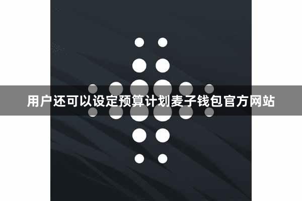 用户还可以设定预算计划麦子钱包官方网站