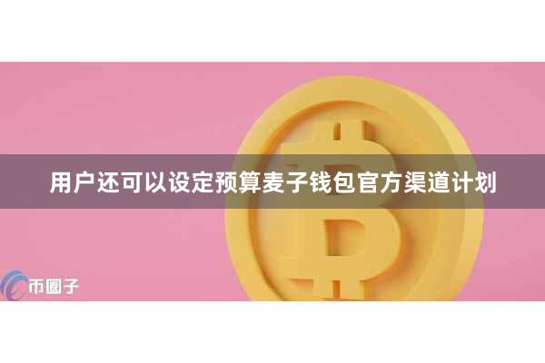 用户还可以设定预算麦子钱包官方渠道计划