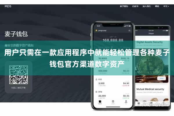用户只需在一款应用程序中就能轻松管理各种麦子钱包官方渠道数字资产