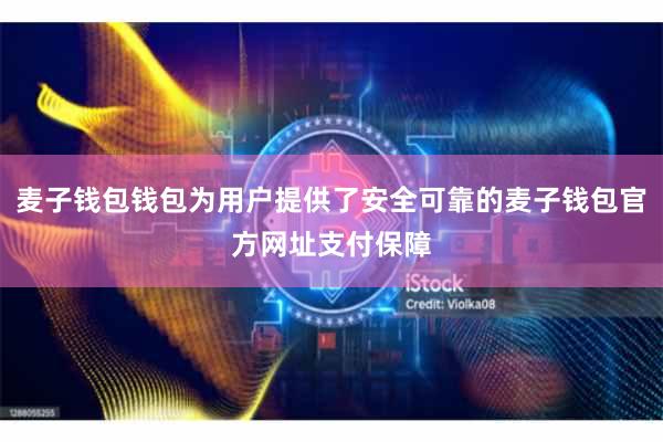 麦子钱包钱包为用户提供了安全可靠的麦子钱包官方网址支付保障