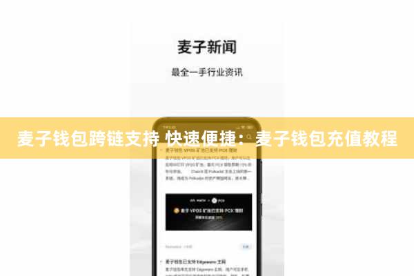 麦子钱包跨链支持 快速便捷：麦子钱包充值教程