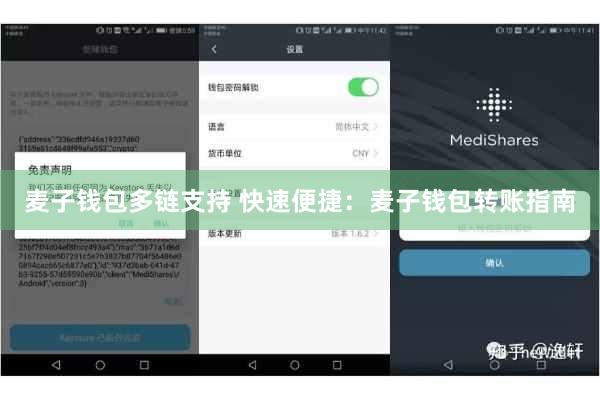 麦子钱包多链支持 快速便捷：麦子钱包转账指南