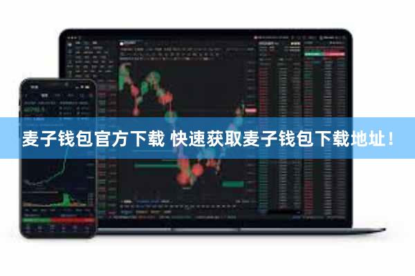 麦子钱包官方下载 快速获取麦子钱包下载地址！