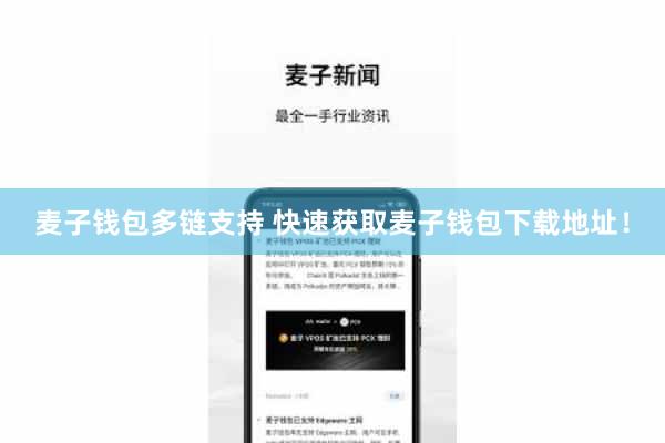 麦子钱包多链支持 快速获取麦子钱包下载地址！