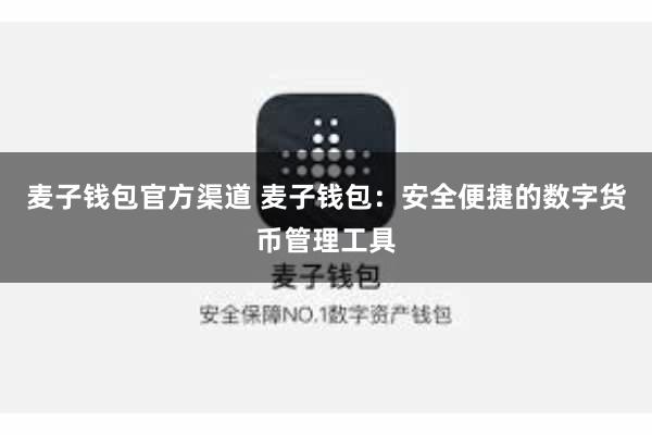 麦子钱包官方渠道 麦子钱包：安全便捷的数字货币管理工具