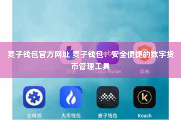 麦子钱包官方网址 麦子钱包：安全便捷的数字货币管理工具