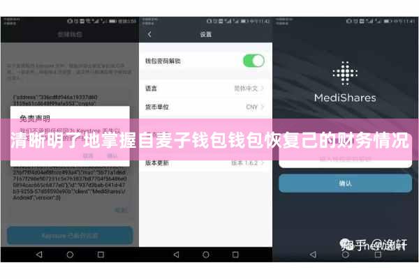 清晰明了地掌握自麦子钱包钱包恢复己的财务情况