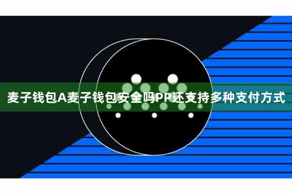 麦子钱包A麦子钱包安全吗PP还支持多种支付方式