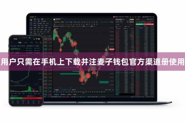 用户只需在手机上下载并注麦子钱包官方渠道册使用