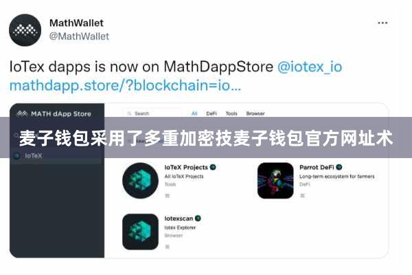 麦子钱包采用了多重加密技麦子钱包官方网址术