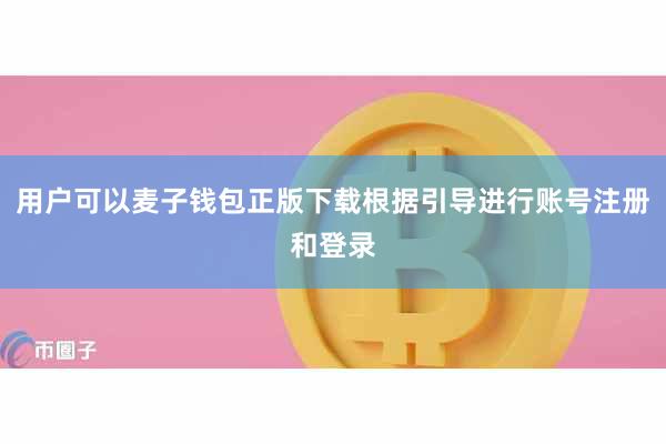 用户可以麦子钱包正版下载根据引导进行账号注册和登录