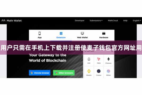 用户只需在手机上下载并注册使麦子钱包官方网址用