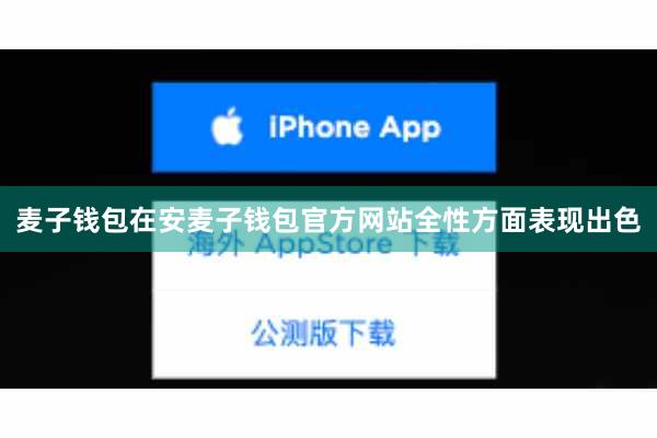 麦子钱包在安麦子钱包官方网站全性方面表现出色
