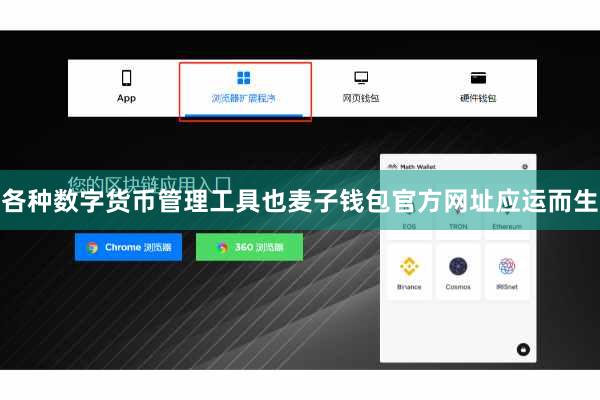各种数字货币管理工具也麦子钱包官方网址应运而生