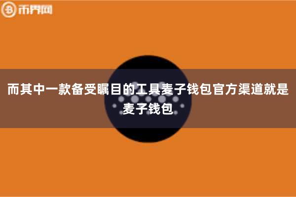 而其中一款备受瞩目的工具麦子钱包官方渠道就是麦子钱包