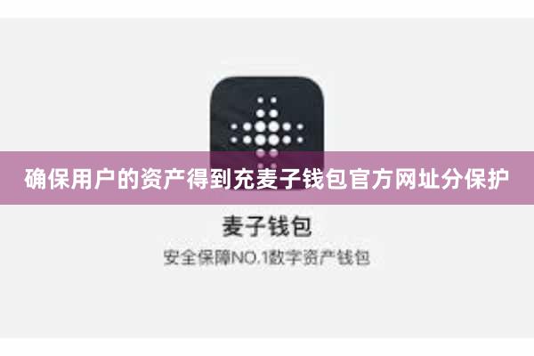 确保用户的资产得到充麦子钱包官方网址分保护