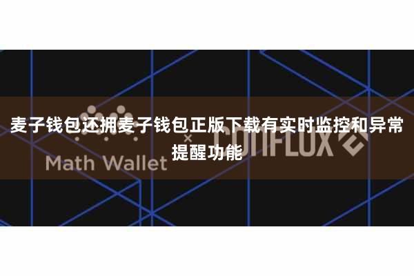 麦子钱包还拥麦子钱包正版下载有实时监控和异常提醒功能
