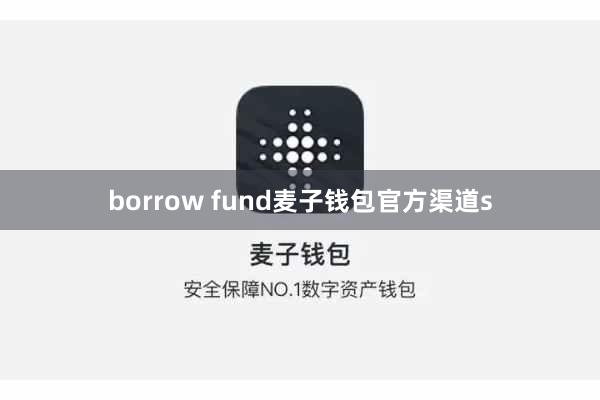borrow fund麦子钱包官方渠道s