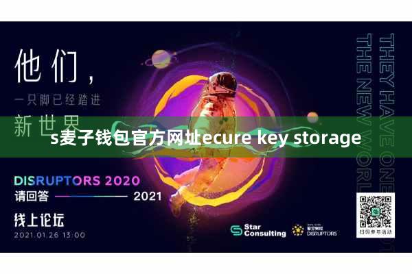 s麦子钱包官方网址ecure key storage