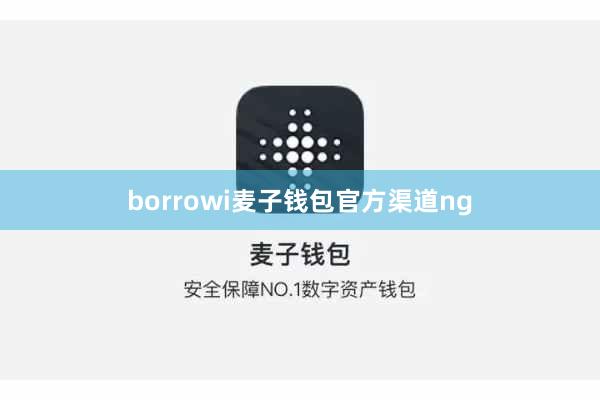 borrowi麦子钱包官方渠道ng