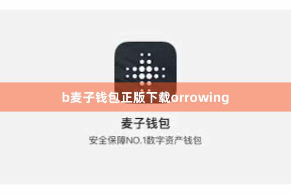 b麦子钱包正版下载orrowing