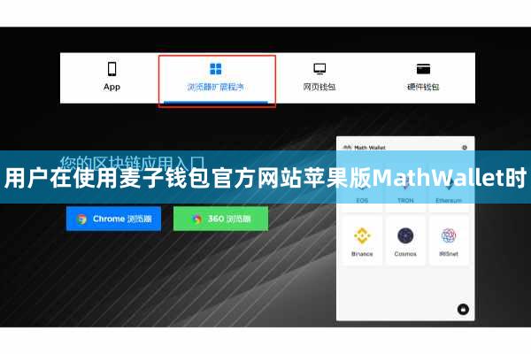 用户在使用麦子钱包官方网站苹果版MathWallet时