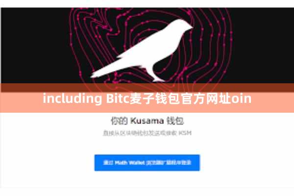 including Bitc麦子钱包官方网址oin