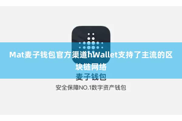 Mat麦子钱包官方渠道hWallet支持了主流的区块链网络