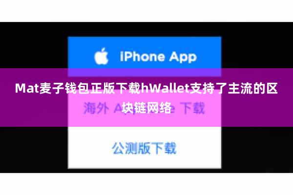 Mat麦子钱包正版下载hWallet支持了主流的区块链网络