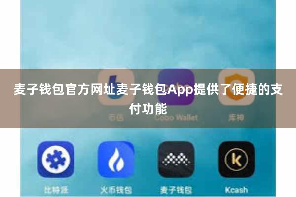 麦子钱包官方网址麦子钱包App提供了便捷的支付功能