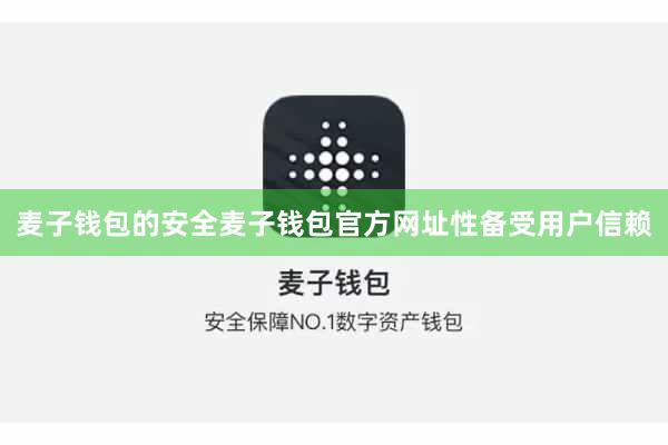 麦子钱包的安全麦子钱包官方网址性备受用户信赖