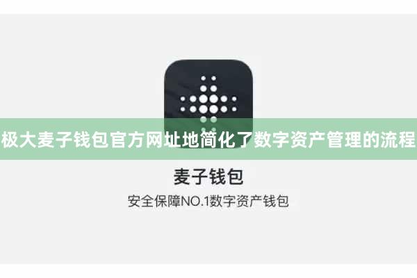极大麦子钱包官方网址地简化了数字资产管理的流程
