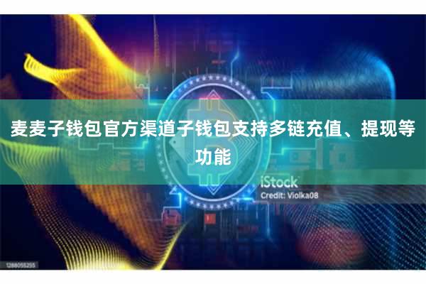 麦麦子钱包官方渠道子钱包支持多链充值、提现等功能
