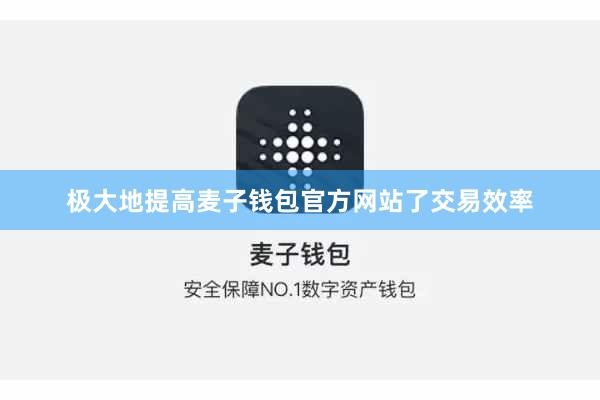 极大地提高麦子钱包官方网站了交易效率