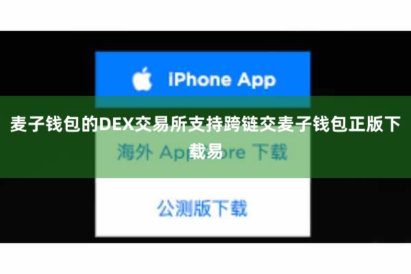 麦子钱包的DEX交易所支持跨链交麦子钱包正版下载易
