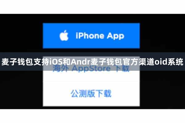 麦子钱包支持iOS和Andr麦子钱包官方渠道oid系统