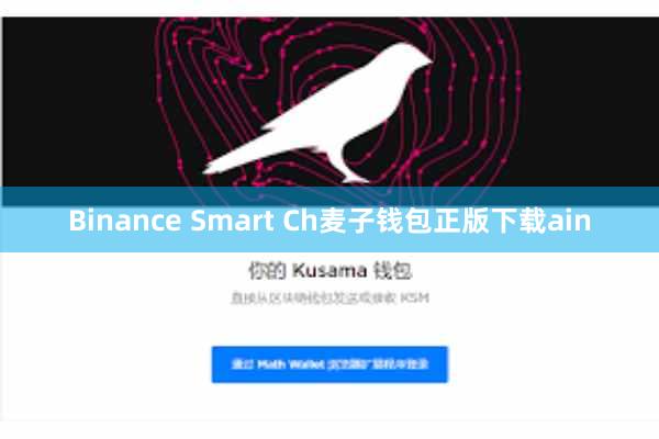 Binance Smart Ch麦子钱包正版下载ain