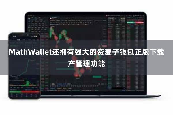 MathWallet还拥有强大的资麦子钱包正版下载产管理功能