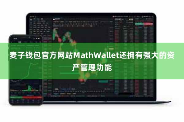 麦子钱包官方网站MathWallet还拥有强大的资产管理功能