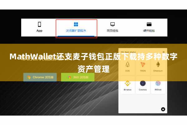 MathWallet还支麦子钱包正版下载持多种数字资产管理