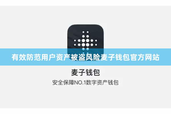 有效防范用户资产被盗风险麦子钱包官方网站